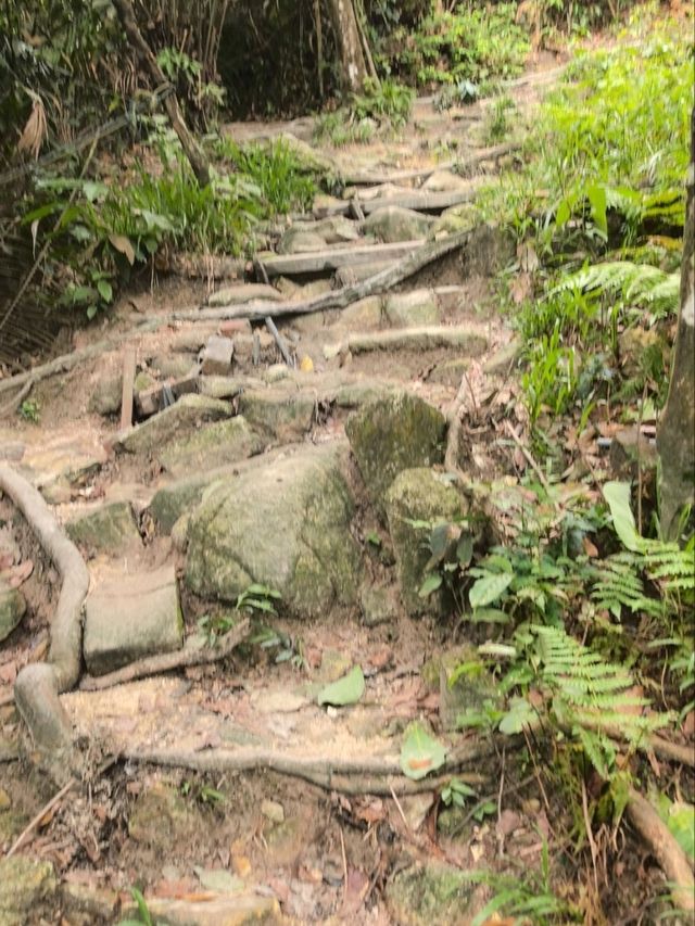 Hiking in Kuala Lumpur city