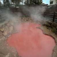 🔥 Beppu Unplugged: Dive into Japan’s Steamy Wonderland! 🌋♨️