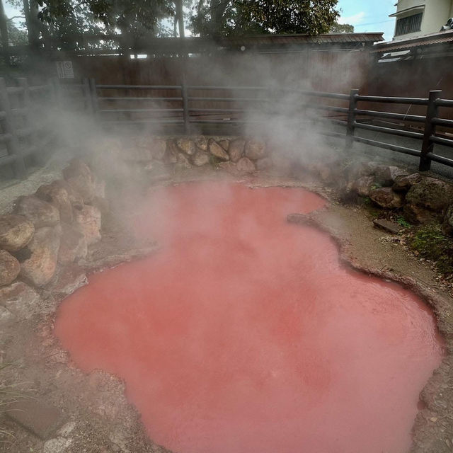 🔥 Beppu Unplugged: Dive into Japan’s Steamy Wonderland! 🌋♨️