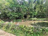 “Zoo Negara — Malaysia’s Wild Heart of Adventure and Conservation”