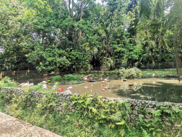 “Zoo Negara — Malaysia’s Wild Heart of Adventure and Conservation”