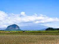 【ドーム状の絶景ランドマーク⛰️】山房山（サンバンサン／산방산）