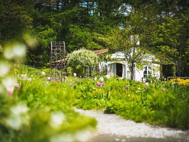 Furano in Full Bloom: Discover the Magic of Kaze no Garden