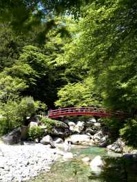 【岐阜】青もみじと赤い橋のコントラストに魅了