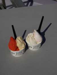 【千葉】大多喜で味わう旬の贅沢ジェラート🍨