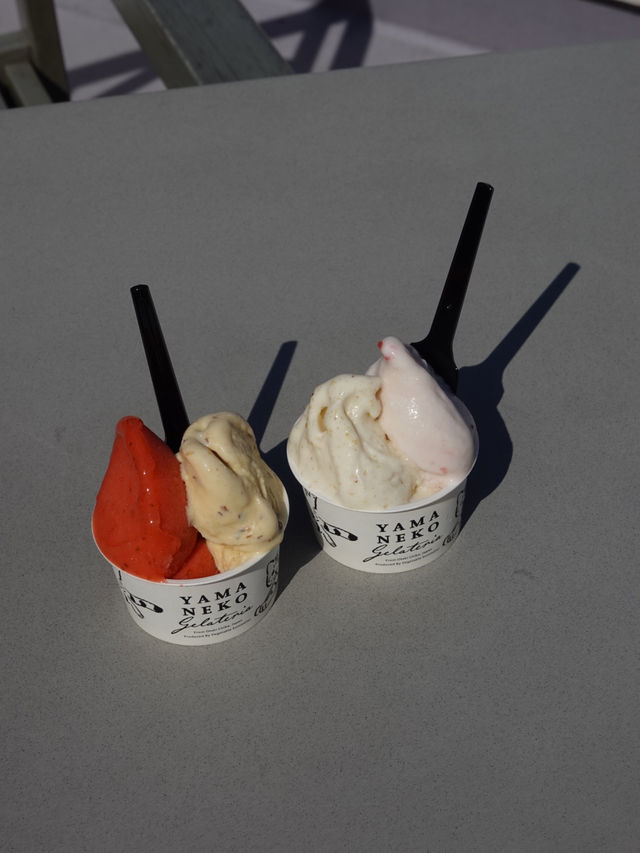 【千葉】大多喜で味わう旬の贅沢ジェラート🍨