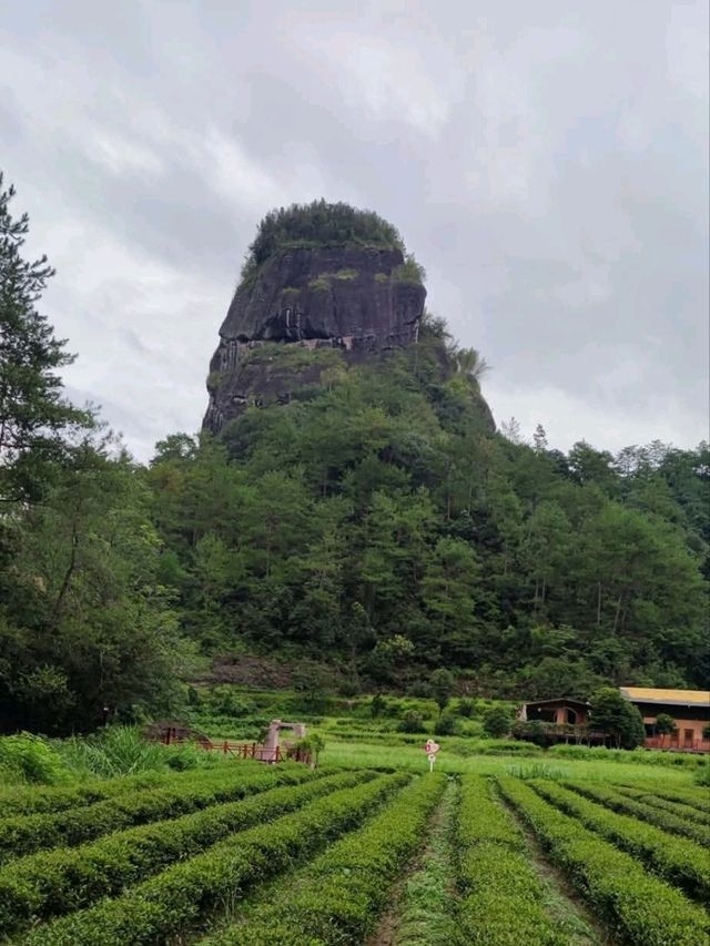 武夷山風景區-走到腿兒會發抖的虎嘯岩+大王峰