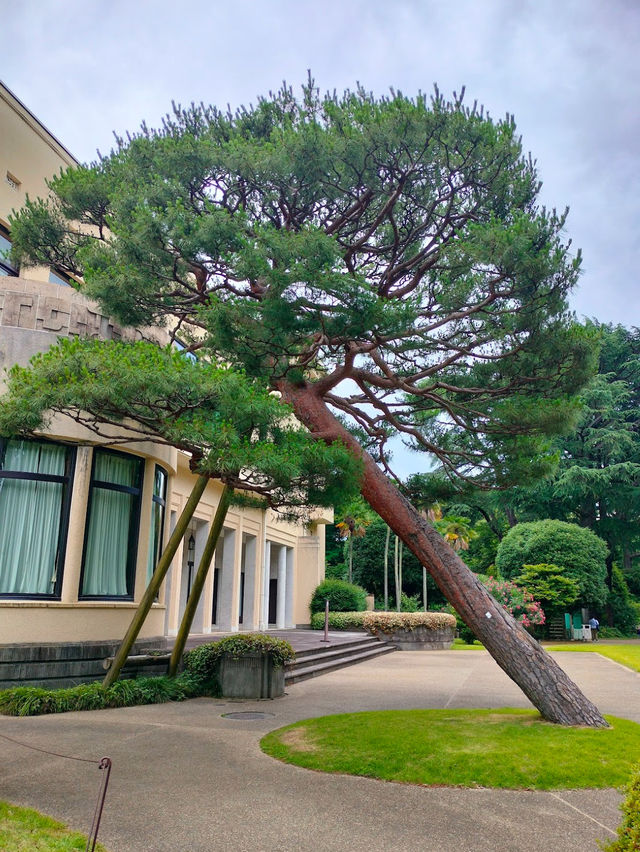 도쿄박물관
