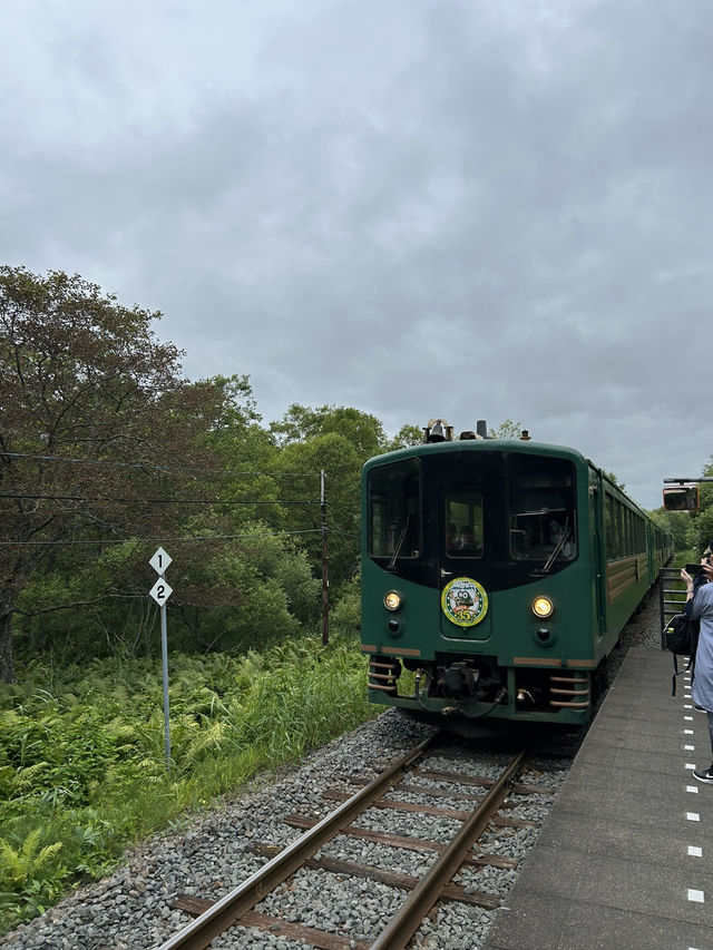 【北海道】北海道を感じる大自然を走るローカル線・釧網本線