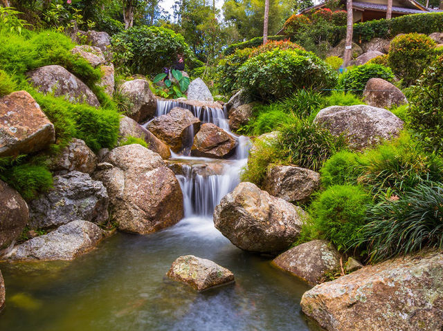 🍃 Zen Vibes Only: A Peaceful Pause at Bukit Tinggi’s Japanese Garden 🏯✨