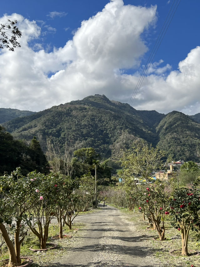 南投｜武界部落｜雲海的故鄉，深山裡的純粹時光
