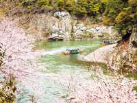 🚣♂️🌿 Hozugawa River Boat Ride: Kyoto’s Wildest (and Chillest) Adventure! 🌿🚣♂️