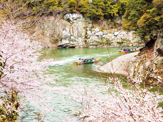 🚣♂️🌿 Hozugawa River Boat Ride: Kyoto’s Wildest (and Chillest) Adventure! 🌿🚣♂️