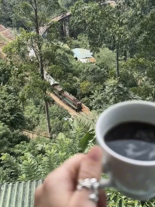 🌴 🐦 🚂 A perfect place to slow down and enjoy the moment
