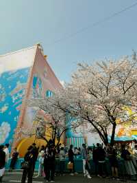 Springtime in Seoul: A Season of Blossom