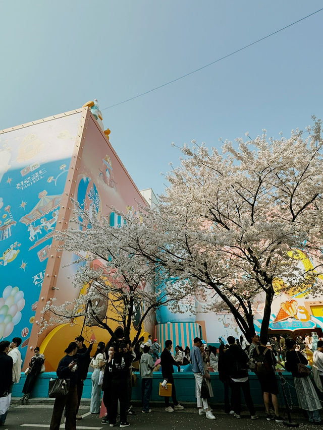 Springtime in Seoul: A Season of Blossom