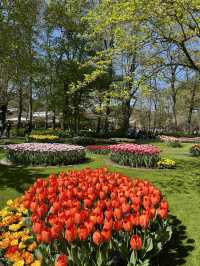 A day in Keukenhof