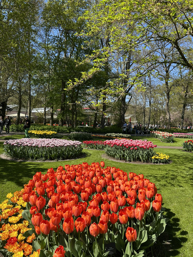 A day in Keukenhof