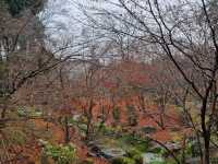 후시미이나리신사 후기 Journey to Fushimi Inari Taisha