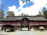 🇯🇵 仙台的歷史和賞櫻之旅