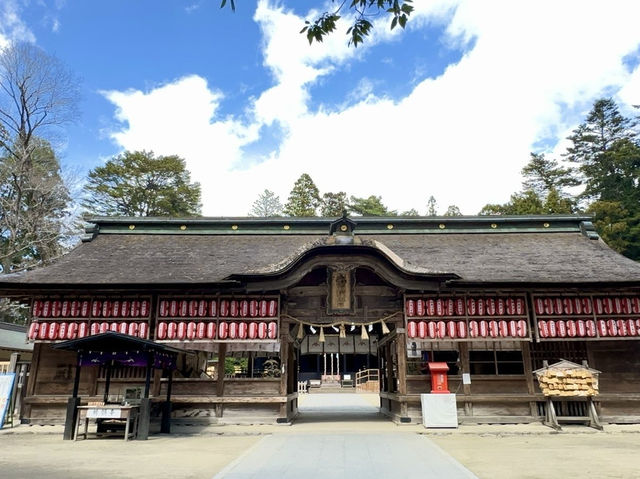 🇯🇵 仙台的歷史和賞櫻之旅