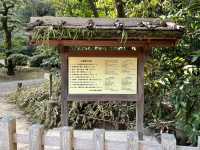 🇯🇵【香川県】広大な庭園！四季折々の花が楽しめる！栗林公園(^^)