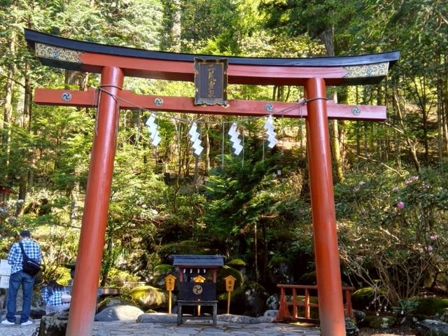 【栃木】日光市にある縁結び等で人気の古社！