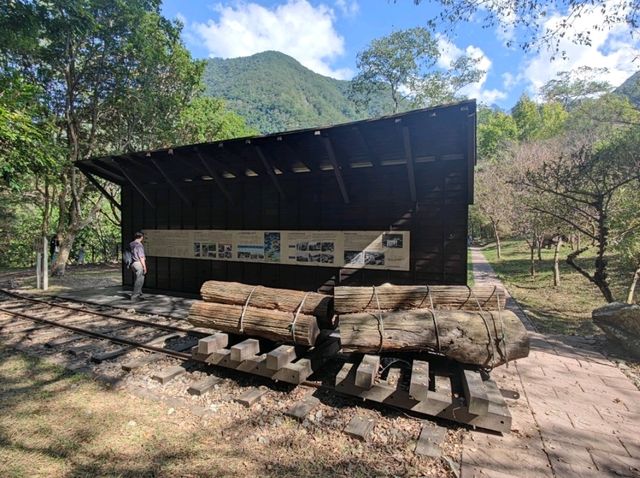 #八仙山國家森林遊樂區- 臺中市和平區