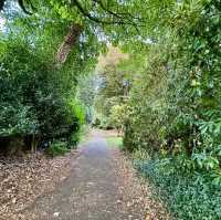 Exploring Nature and History at Highbury Park