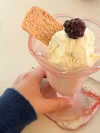 대전을 대표하는 느좋카페 🍨🍧