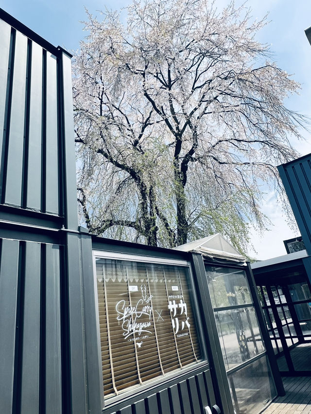 盛岡木伏綠地