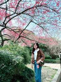 A Spring Escape to Wuzhen: A Journey Through Tranquil Beauty 🌸🚶‍♂️