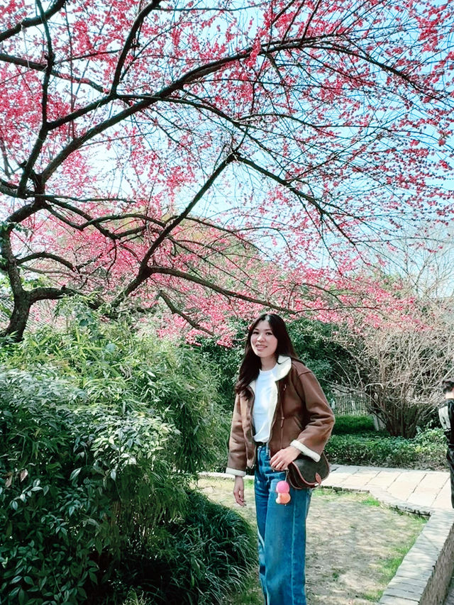 A Spring Escape to Wuzhen: A Journey Through Tranquil Beauty 🌸🚶‍♂️