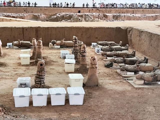The Terracotta Warriors and Horses 