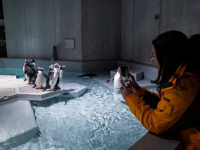 ยก Aquarium มาไว้บนตึกบนใจกลางเมือง Sapporo 