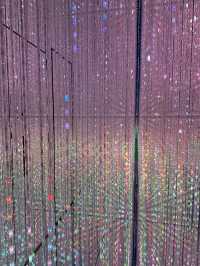 日本東京Teamlab Borderless