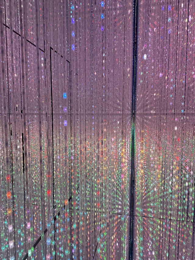 日本東京Teamlab Borderless