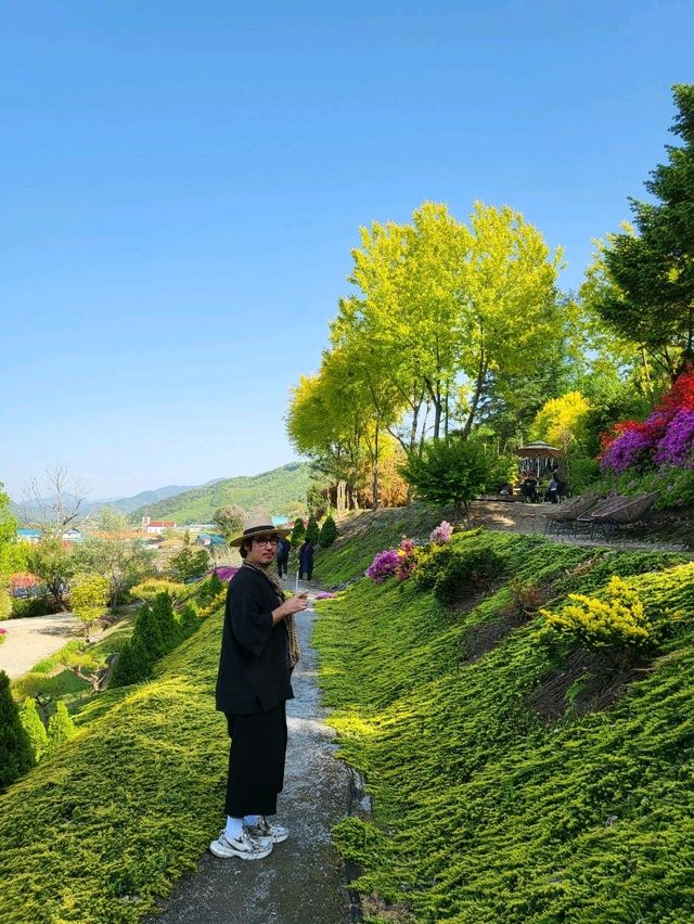 봄꽃향기 가득한 괴산여행코스 3곳 추천