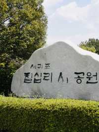 Jeju's Beauty at Seogwipo Chilshimli Park