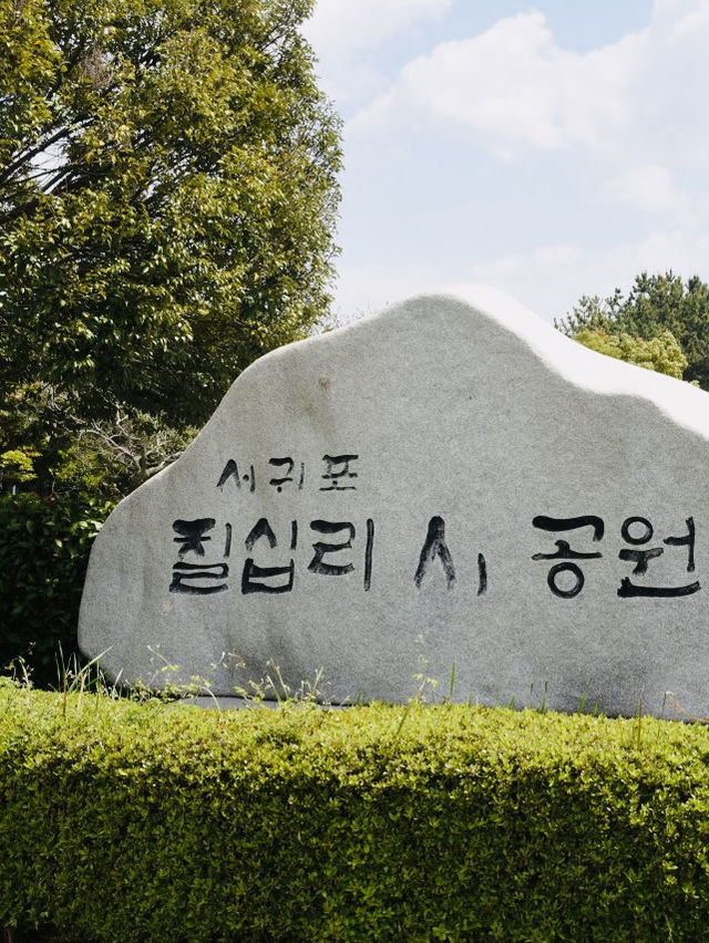 Jeju's Beauty at Seogwipo Chilshimli Park