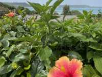 琉球秘境海灘🏝️無人煙「濱比嘉島」