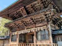 漫步在石鳥居與紅神橋的春櫻時光---仙台東照宮