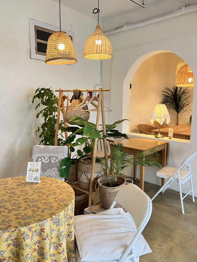 The Cutest Café by the Sea in Busan – Picture-Perfect & Peaceful