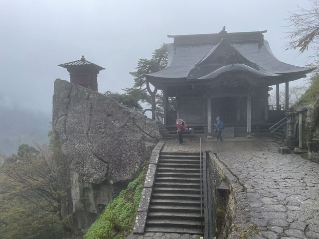 登高又賞櫻 接近四月尾都仲有
