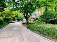 🌸【都市綠洲】慶尚監營公園：歷史與花香共舞的所在
