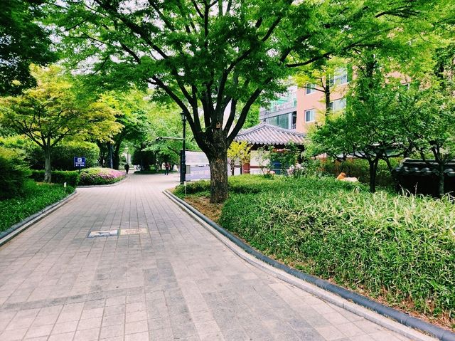 🌸【都市綠洲】慶尚監營公園：歷史與花香共舞的所在