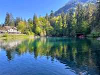 瑞士藍湖 Blausee，如畫一般的透藍翠綠絕景