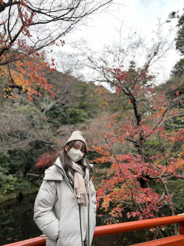 鎌倉兩日一夜景點大全！！
