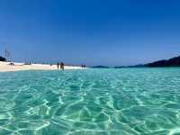 🏝️ Koh Lipe: A Backpacker’s Guide to Thailand’s Mini-Maldives!  