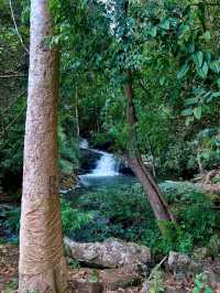 Nature’s Springtime Splash in Chiang Mai